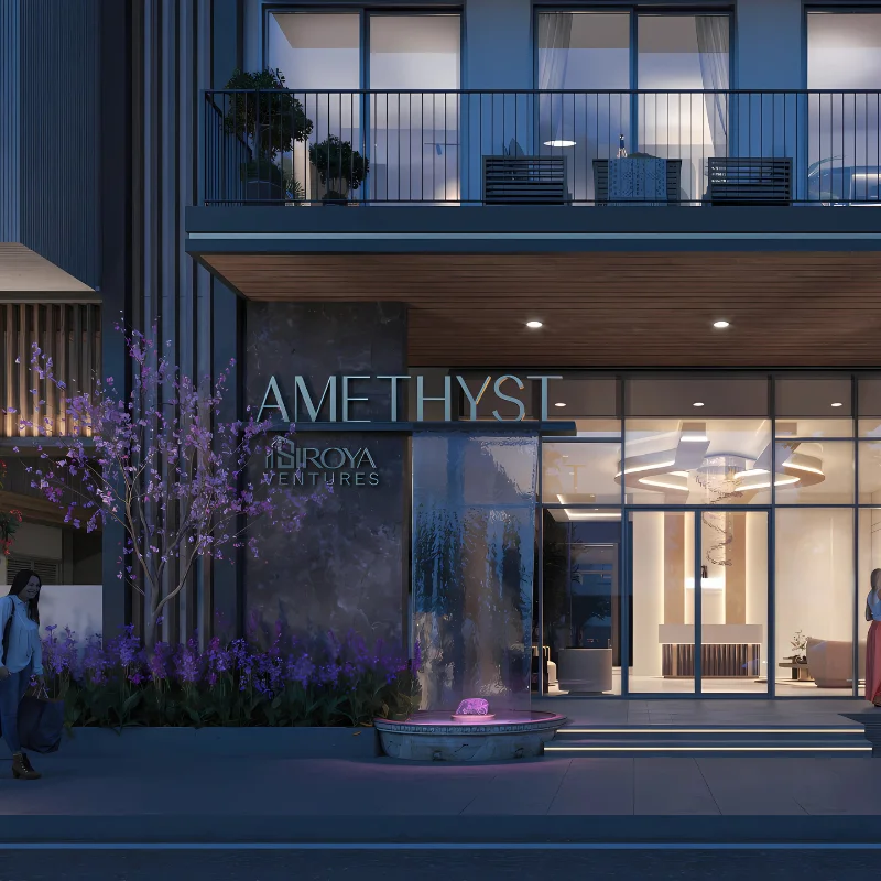 Developer Image