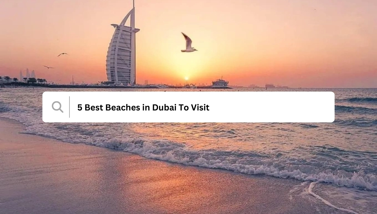 5 Best Beaches in Dubai To Visit